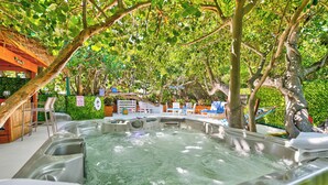 A hot tub area with multiple tubs, surrounded by trees and a wooden structure.