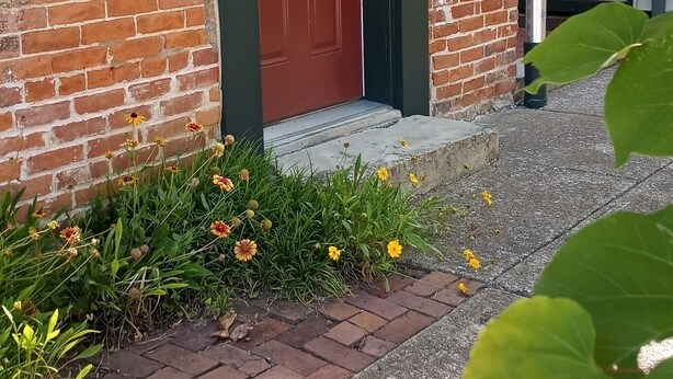 A brick building with a red door and a small step leading to the entrance. - Cobbler Suite, Private Entrance and Private bath, 100% NO SMOKING PROPERTY! (Hermann)