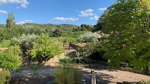 Un jardin agrémenté de chemins en pierre, d’une pergola et d’une variété d’arbres et d’arbustes.
