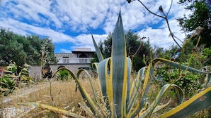 A building with a stone facade and a balcony, surrounded by vegetation. - Apartment Nina - Large 2 bedroom Apt  250m Beach amenities 100m Free Parking (Split)