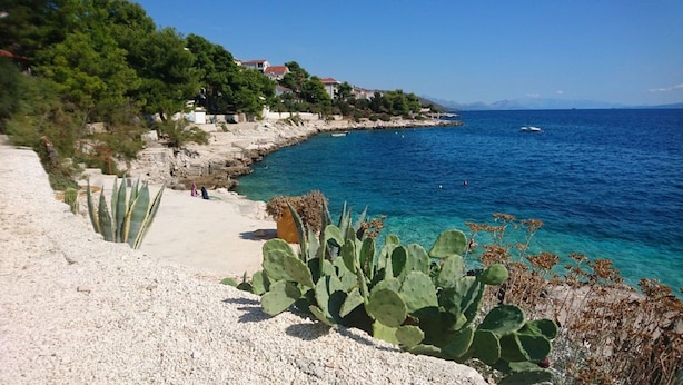 Eine Küstenlandschaft mit Sandstrand, Kakteen und tiefblauem Meer.