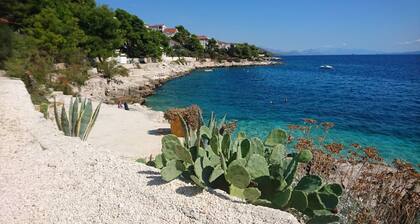 Apt Paulina w Large Sun Terrace, Free Parking 3 min walk to beach & amenities.