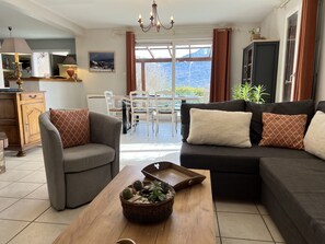 Télévision, cheminée, livres, chaîne hi-fi