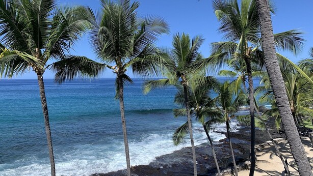 Una playa con palmeras y olas del océano.