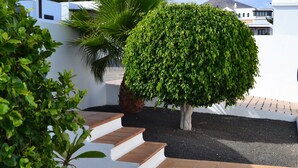 A well-maintained garden with a neatly trimmed bush, a palm tree, and a staircase leading to a white building.