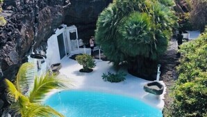 Una piscina circondata da piante tropicali e un muro roccioso.