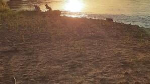 A sunset over a river with a grassy bank and a few dogs. - Nob Hill’s Casa Flamingo: King & Queen beds, Safe, Prime Location, Large Yard. (Albuquerque)
