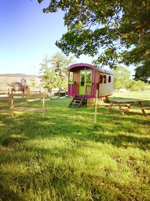 Property grounds - Trailer on the farm  (Chassagnes)