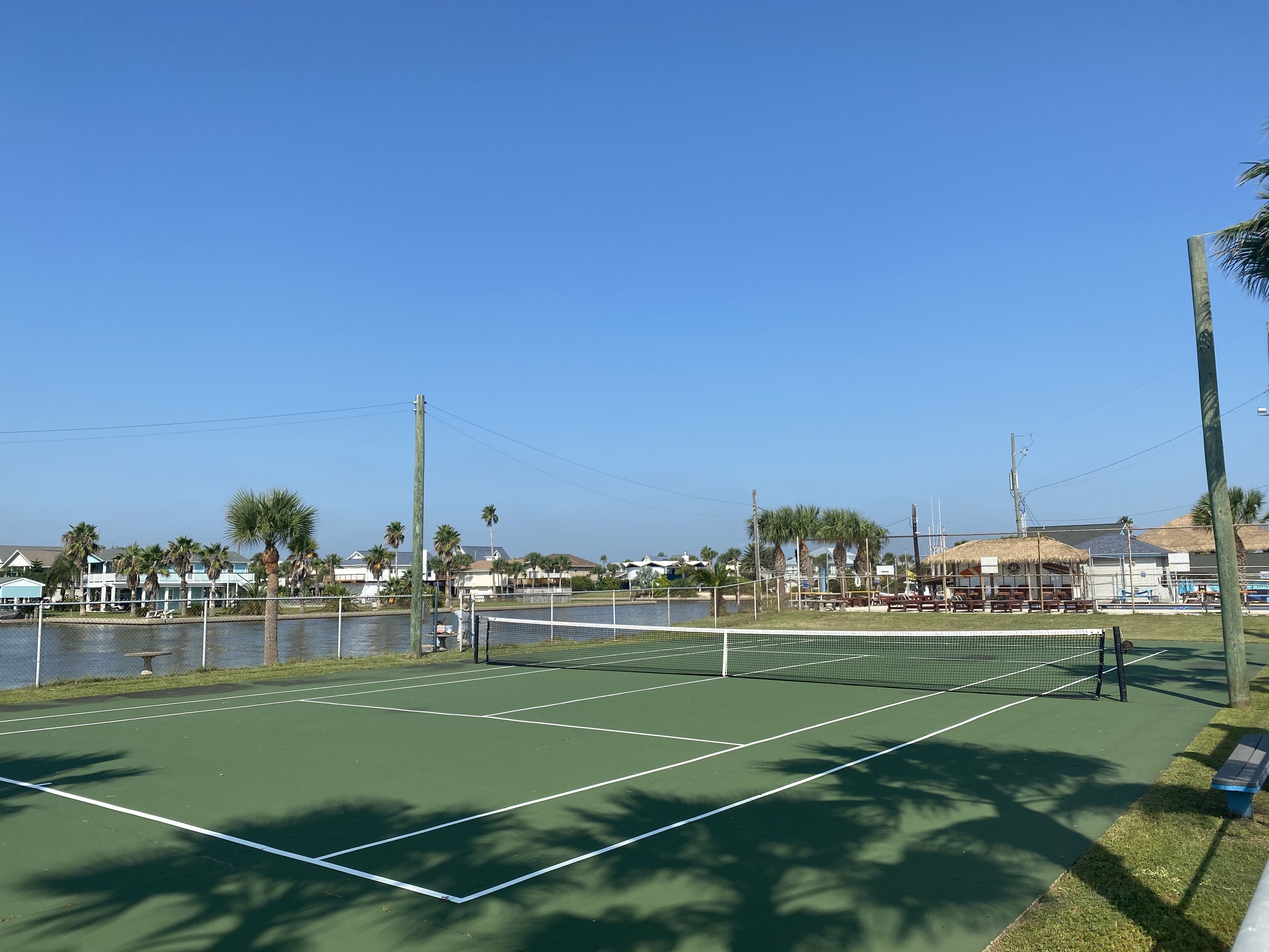 A tennis court with a net, surrounded by a fence, palm trees, and houses in the background.