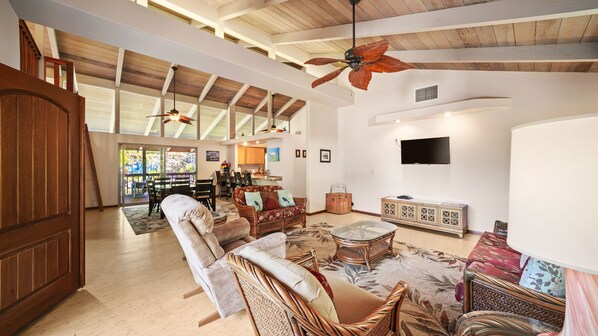 TV, books, video library