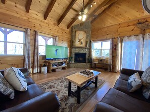 Smart TV, fireplace, books, music library - Awesome Views at High Elevations - 1 bedroom with King bed, 3 bath cabin (Bryson City)
