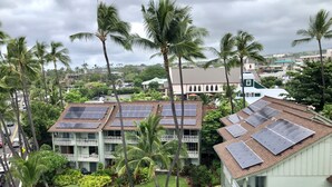Zona residencial con varias casas que tienen paneles solares en los techos, rodeada de abundante vegetación y palmeras.