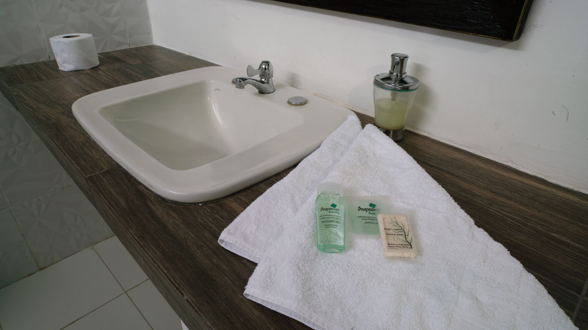 Un lavabo dans la salle de bain, avec un miroir au-dessus, une serviette et deux bouteilles de shampoing et de savon.