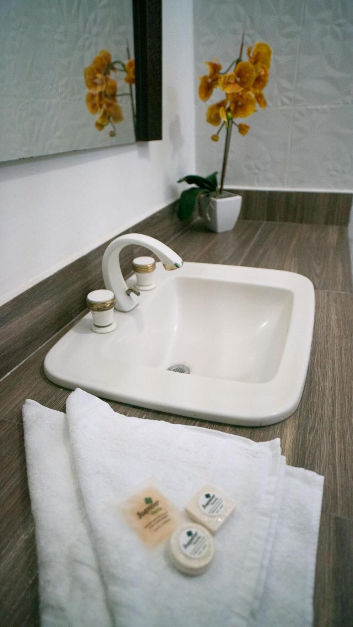Un baño con un lavamanos blanco, un espejo y una orquídea en maceta.