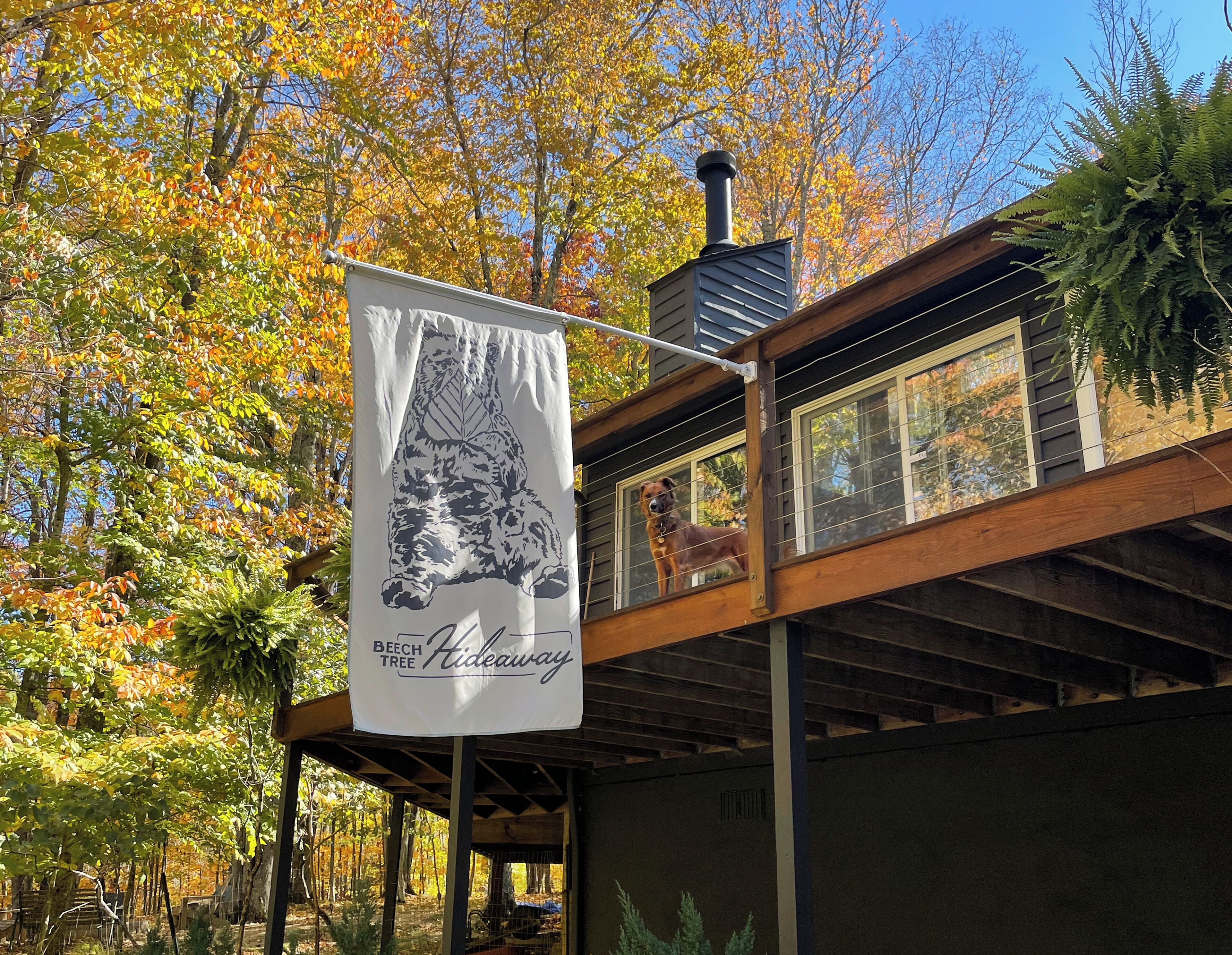 Private & pet-friendly mountain escape with fenced-in yard ✺ 2 miles to resort