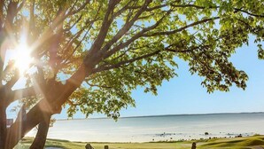 Un hamac suspendu sous un arbre, près d’une plage, avec une vue dégagée sur l’océan.