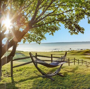 Un'amaca sotto un albero, vicino a una spiaggia con vista sull'oceano.