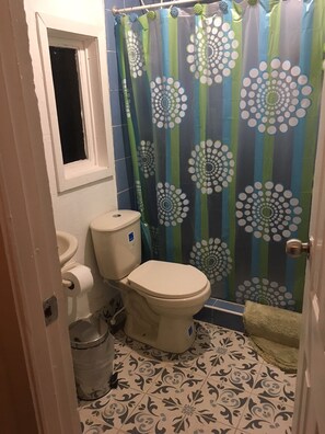 Shower, towels, soap, toilet paper