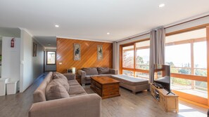 Televisión, chimenea, reproductor de DVD y estéreo 