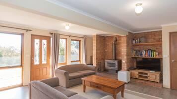 Una televisión, una chimenea, un reproductor de DVD