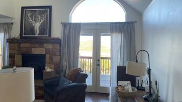 TV, fireplace, video games, DVD player