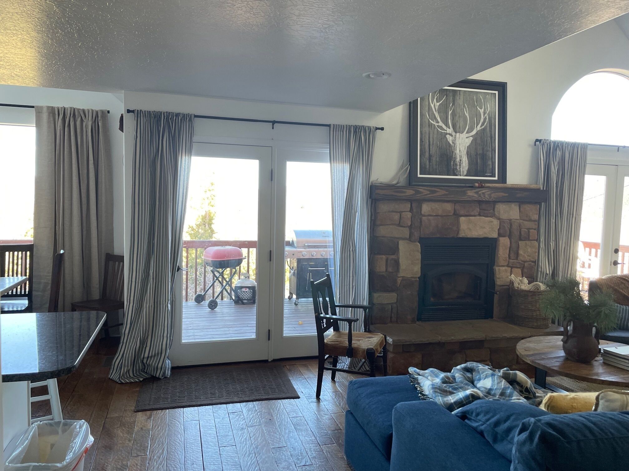 TV, fireplace, video games, DVD player