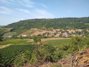 Photo non classée, 5 sur 10, bouton