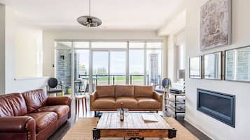 Télévision, cheminée, chaßne hi-fi