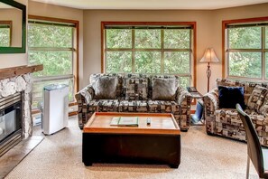 TV, fireplace, DVD player
