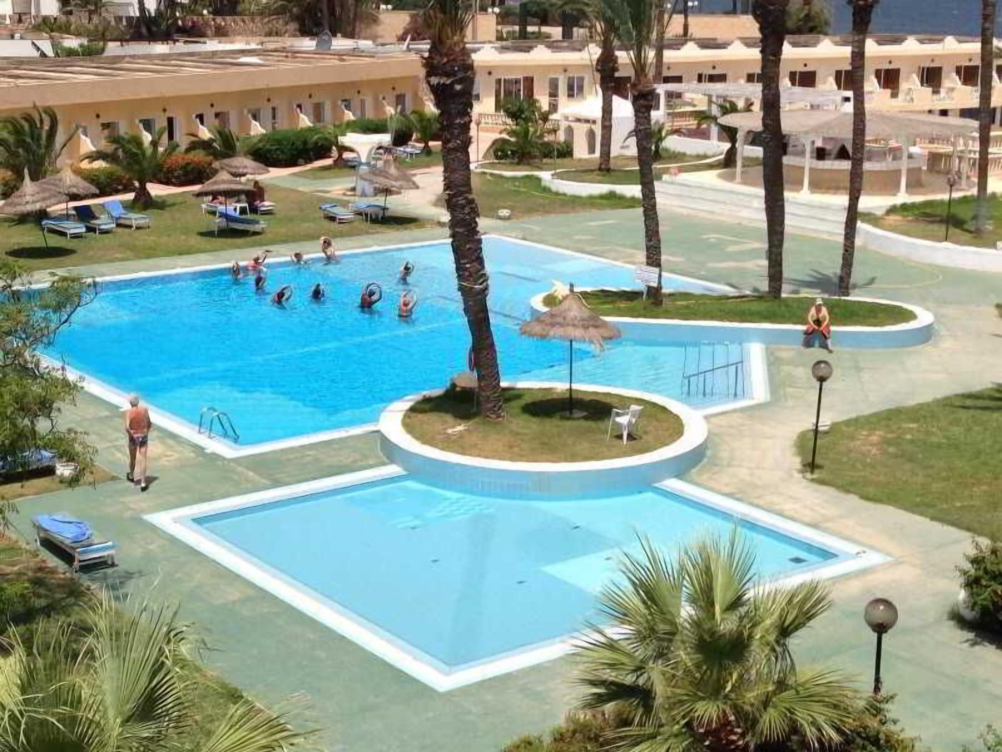 A large outdoor swimming pool with multiple lanes, surrounded by palm trees and lounge chairs.