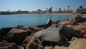 A rocky shoreline with clear blue water, palm trees, and buildings in the background. - Les Palmiers (Monastir)