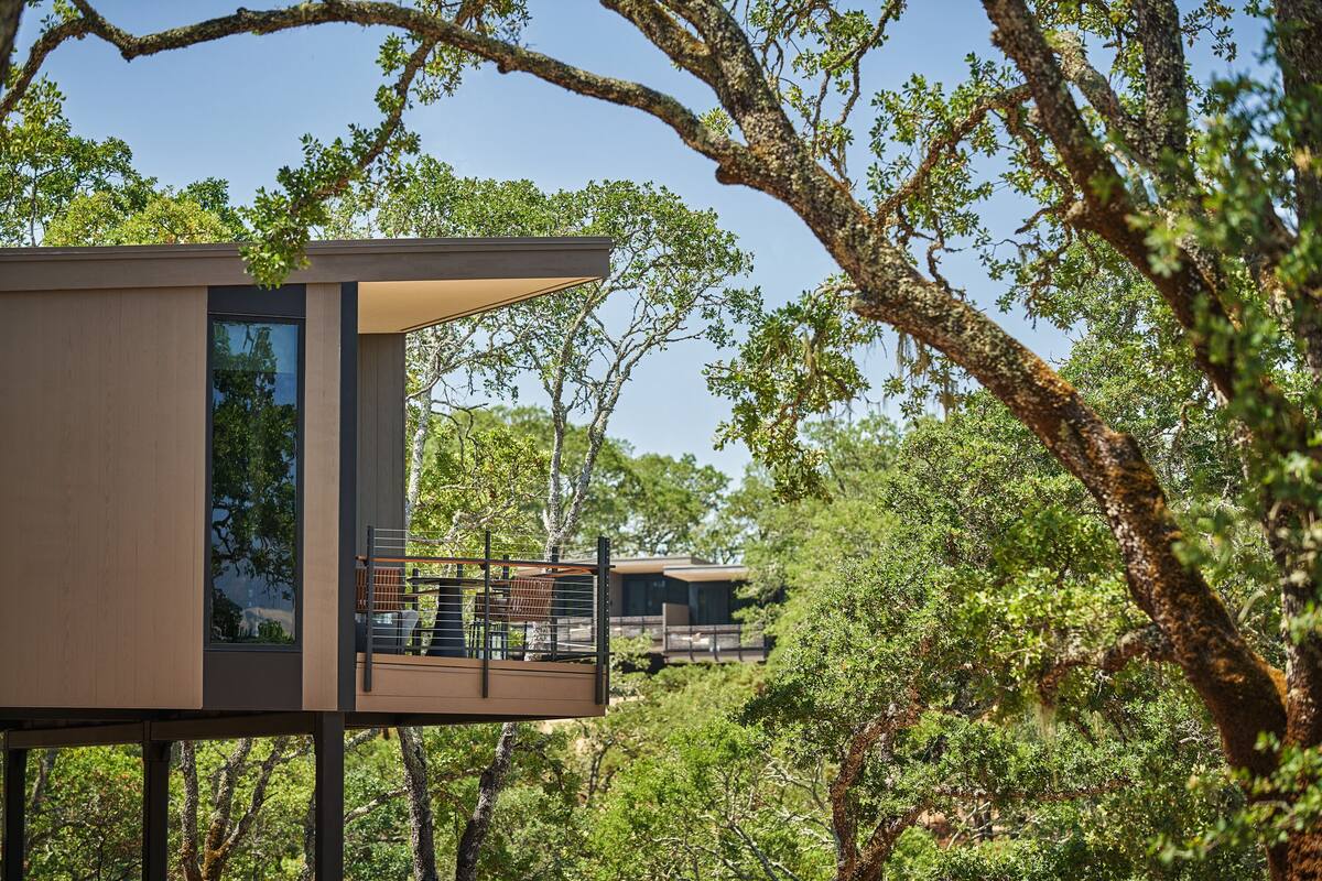 A modern treehouse with a balcony, surrounded by dense foliage.