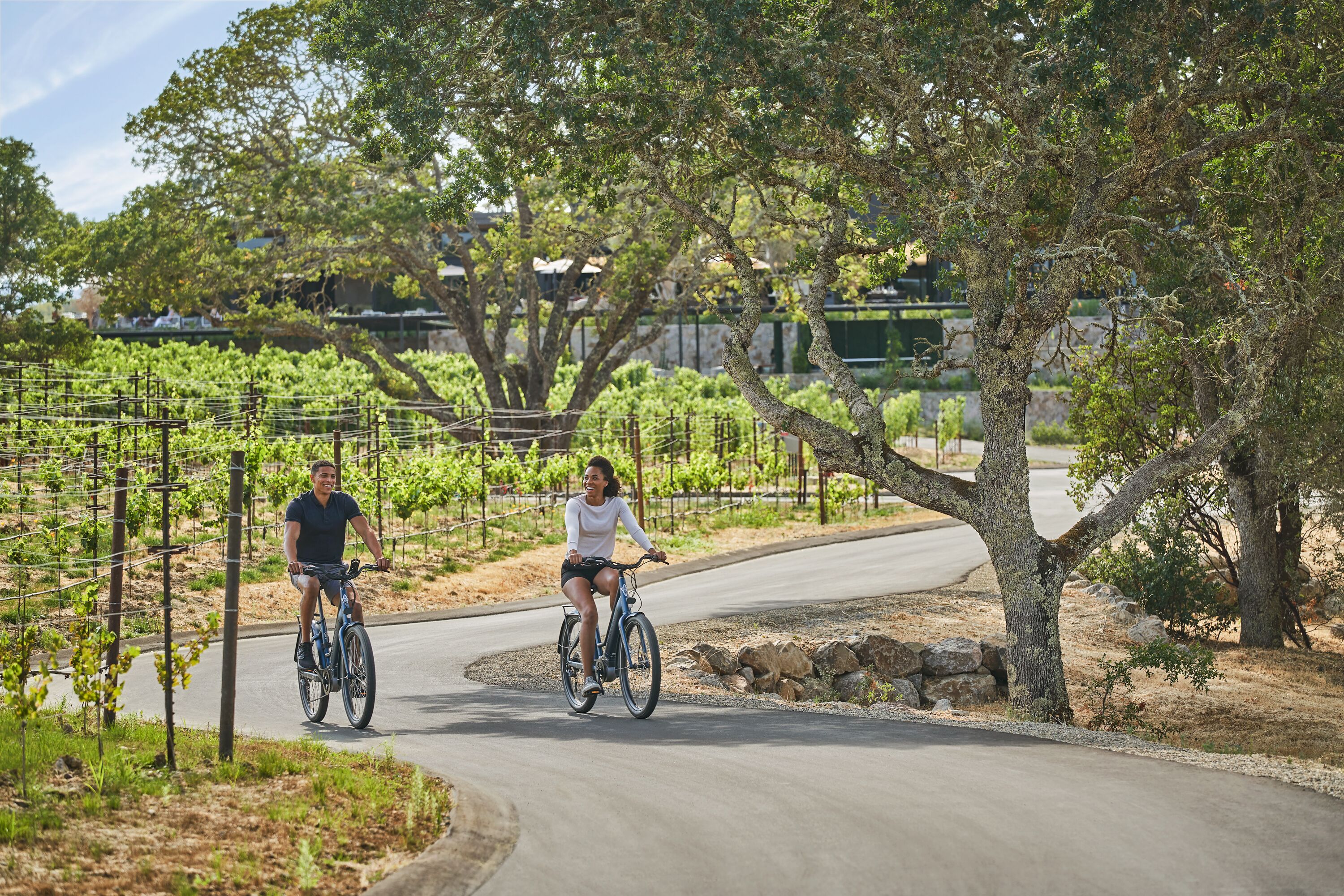Two people riding bicycles on a paved road with vineyards on one side.