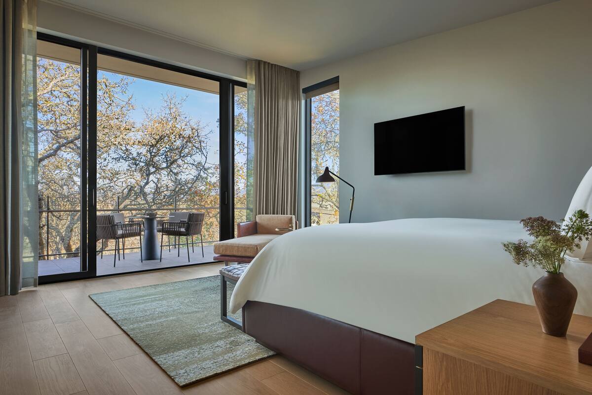 A modern hotel room with a large bed, a flat-screen TV, a wooden nightstand, and a view of trees through the balcony doors.