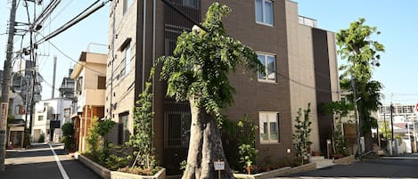 外觀