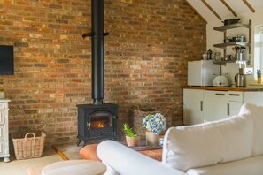 Televisión y chimenea 