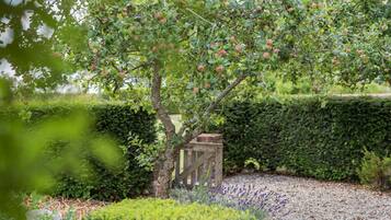 Un jardin avec un arbre fruitier, un chemin de gravier et des haies soigneusement taillées.