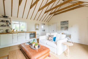 Televisión y chimenea 