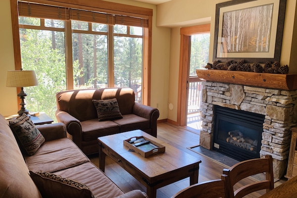 Living room with pull out sofa and cozy gas fireplace