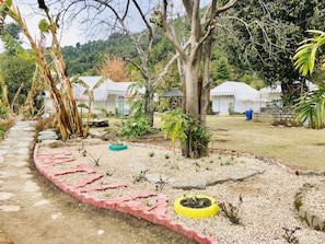 Jardim
