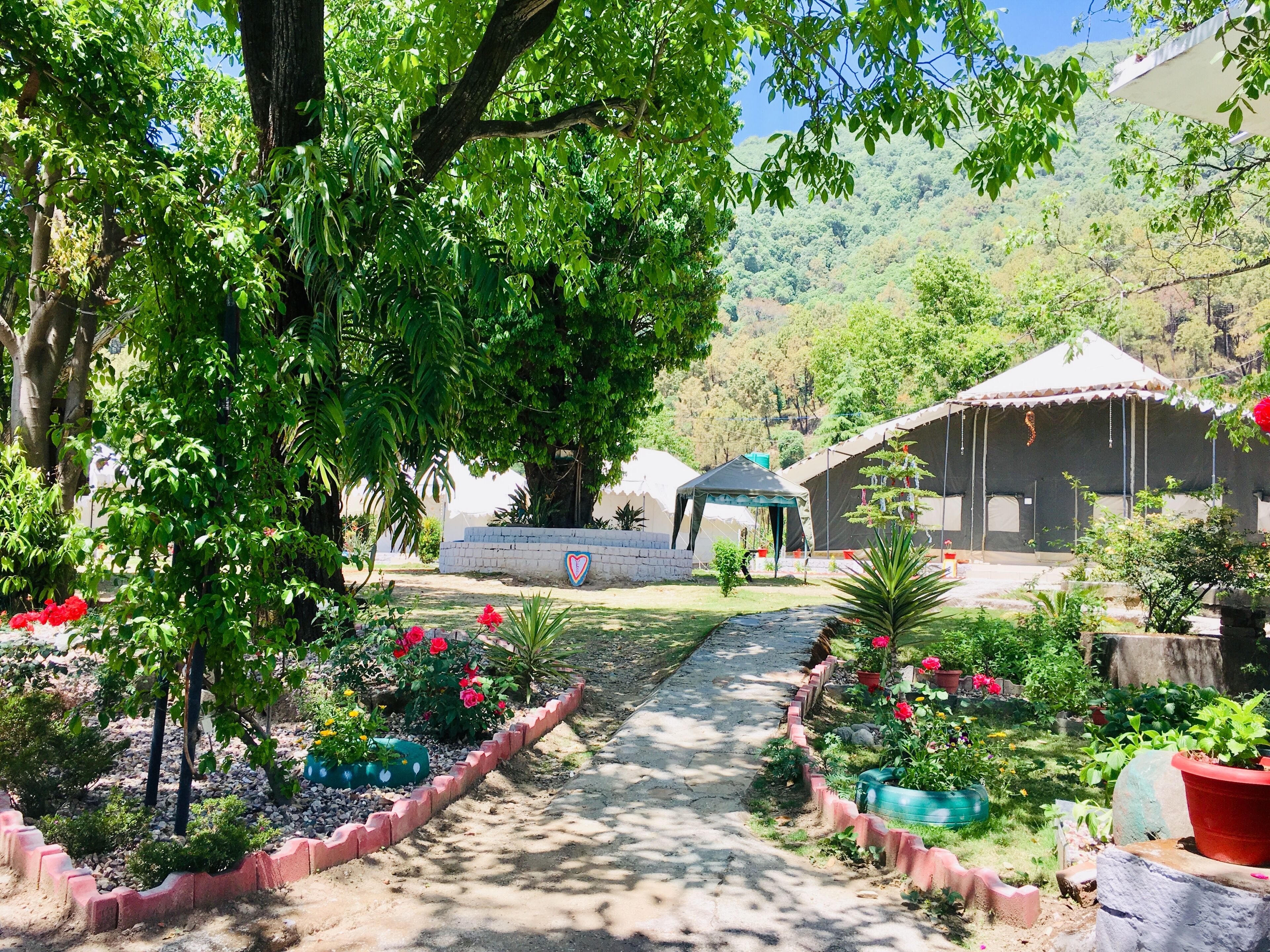 Maharaja Group Tent | Ilmainen Wi-Fi