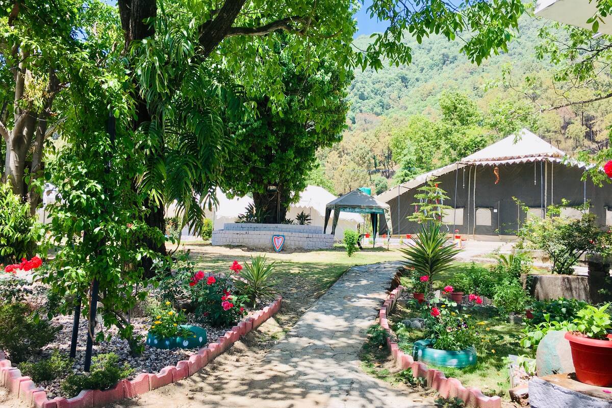 Un sentier de jardin menant à un belvédère, entouré de plantes en pot et offrant une vue sur une colline.