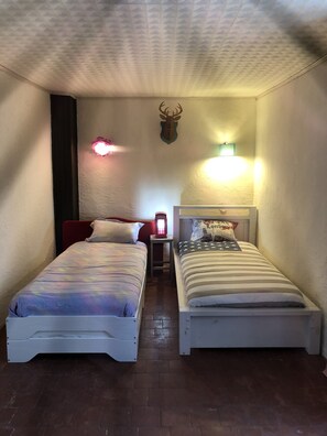 2 slaapkamers, een bureau, een strijkplank/strijkijzer, gratis wifi