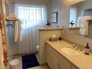 Combined shower/bathtub, hair dryer, towels, soap