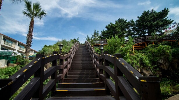 A wooden staircase leading uphill, surrounded by greenery and a clear sky. - Witch's  broomstick Pension (Jeju City)