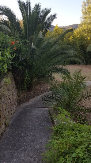 Property grounds - apartment in Saint Clair commune of LAVANDOU (Le Lavandou)