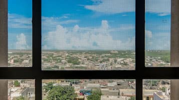 A cityscape through a window with a grid pattern.