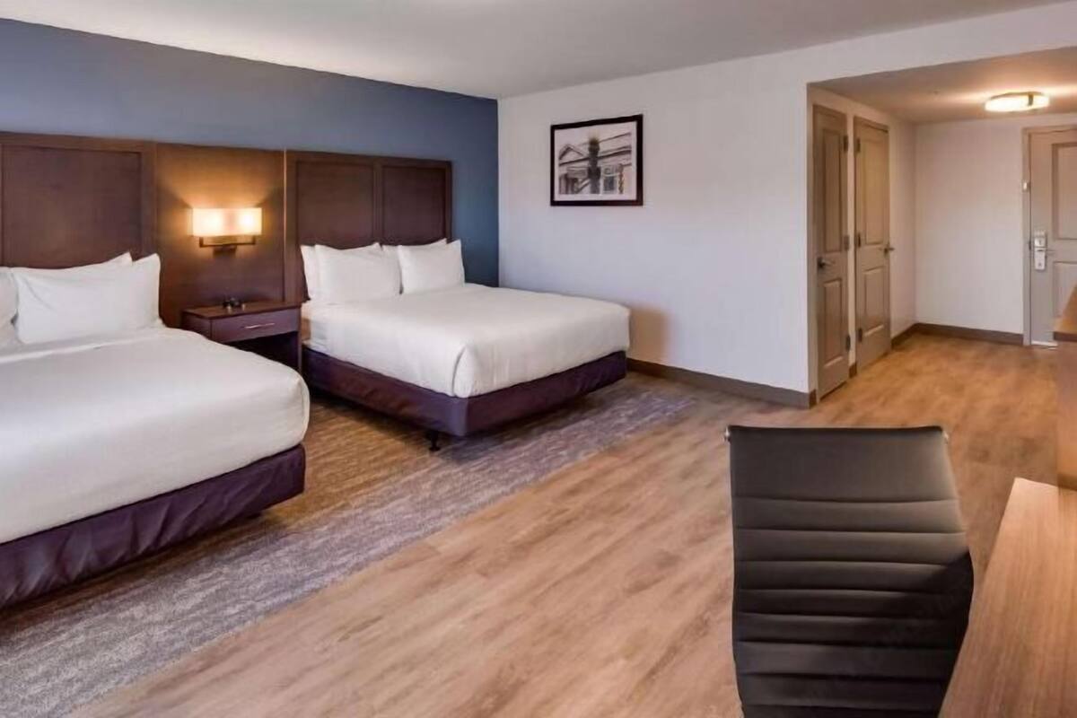 Premium bedding, pillow-top beds, in-room safe, desk