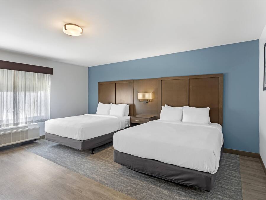 Habitación de hotel con dos camas, un ventanal con cortinas ligeras, una lámpara de pared y una lámpara en el techo.