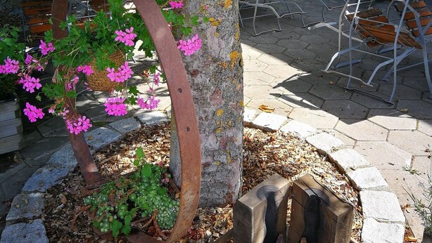 A courtyard with outdoor seating, a tree, and a decorative metal sculpture. - HopfenErlebnisHof (Altmannstein)